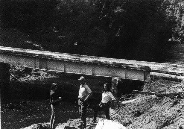 Arthur River bridge